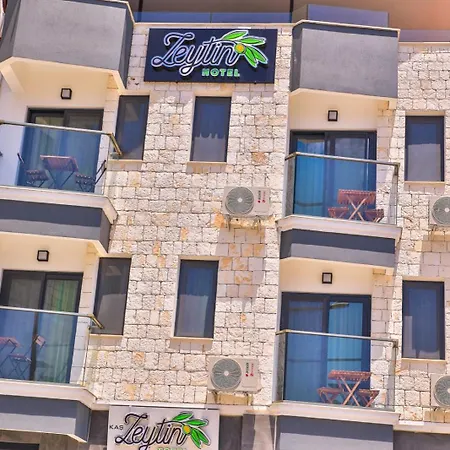 Zeytin Ξενοδοχείο